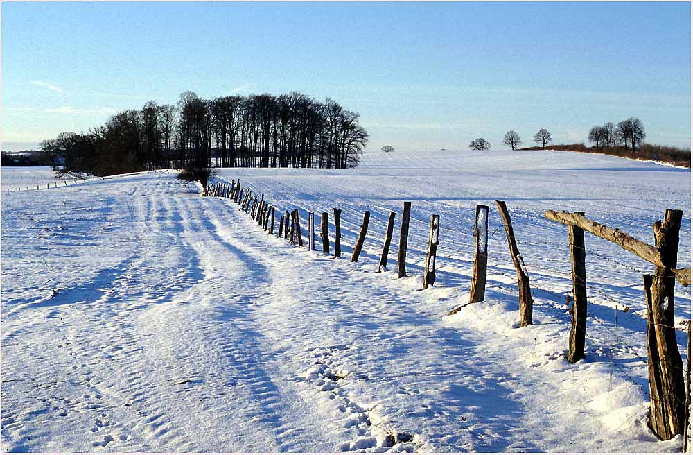 Weiße Fläche- weites Land