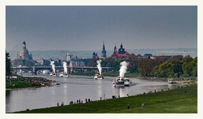 Weiße Flotte Dresden