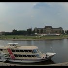 Weiße Flotte Dresden