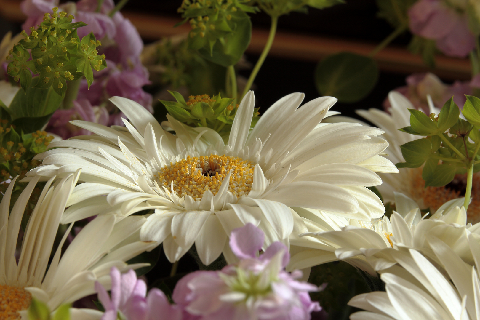 Weiße Gerbera in einem Sommerblumenstrauß