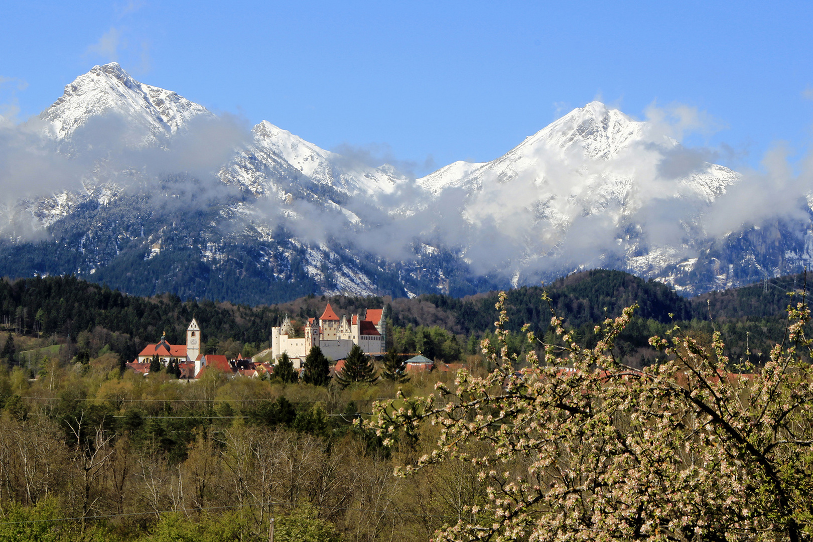 Weiße Gipfel und davor ein Hohes Schloss!