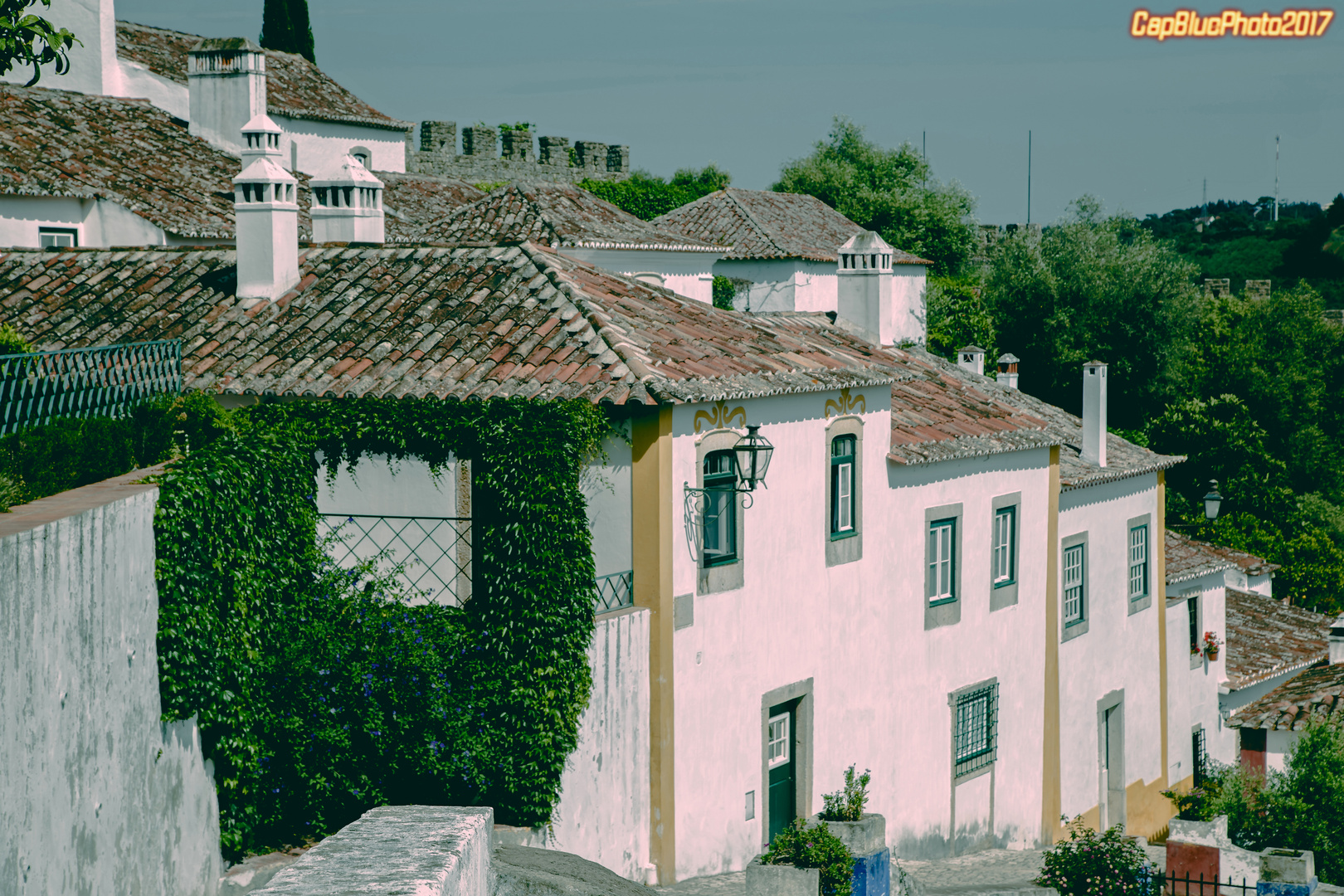 Weisse Häuser von Obidos