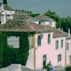 Weisse Häuser von Obidos