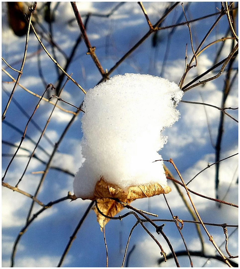 Weiße Haube im blauen Schnee