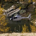 Weisse Helicopter fliegt in den Herbst