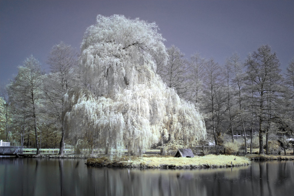 Weiße Insel