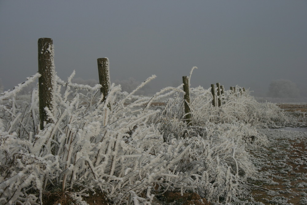 Weisse Kälte