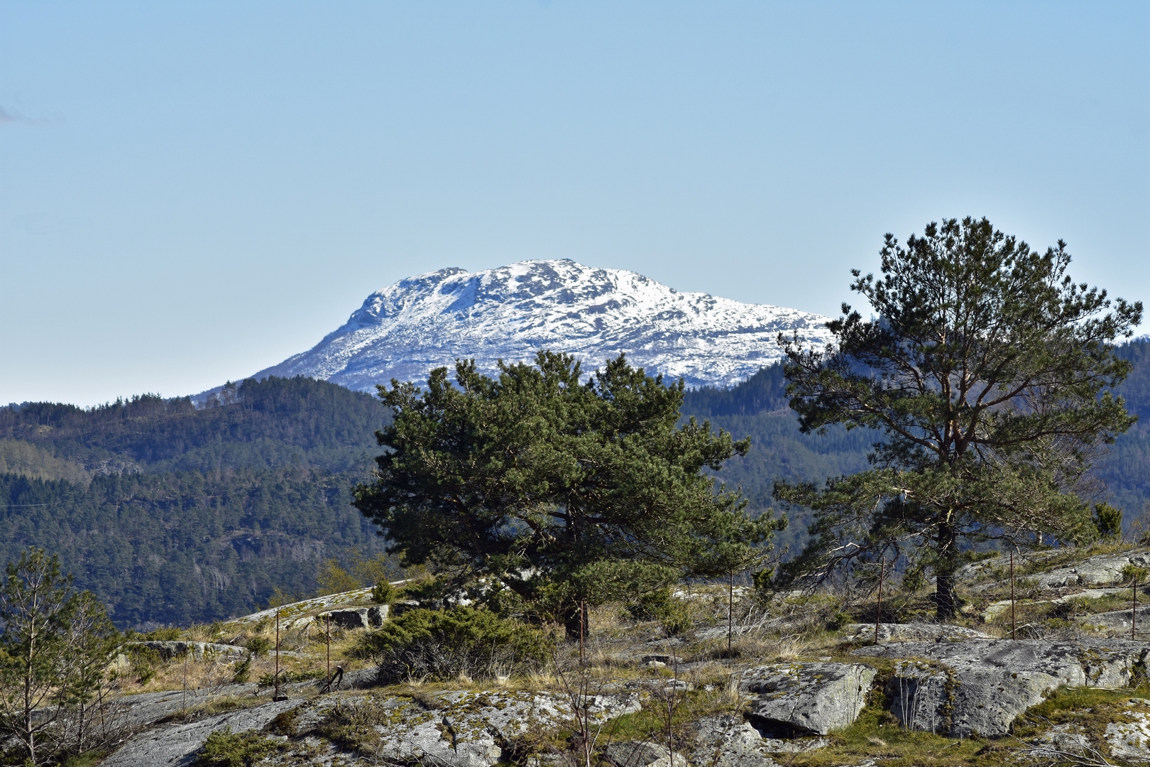 Weiße Kuppe