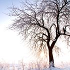 Weisse Landschaft