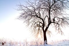 Weisse Landschaft