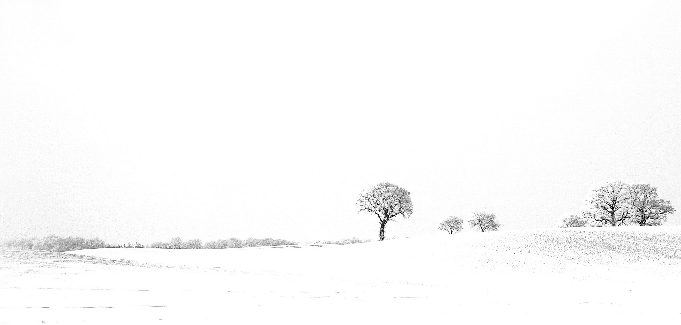 Weiße Landschaft