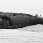 weisse landschaft