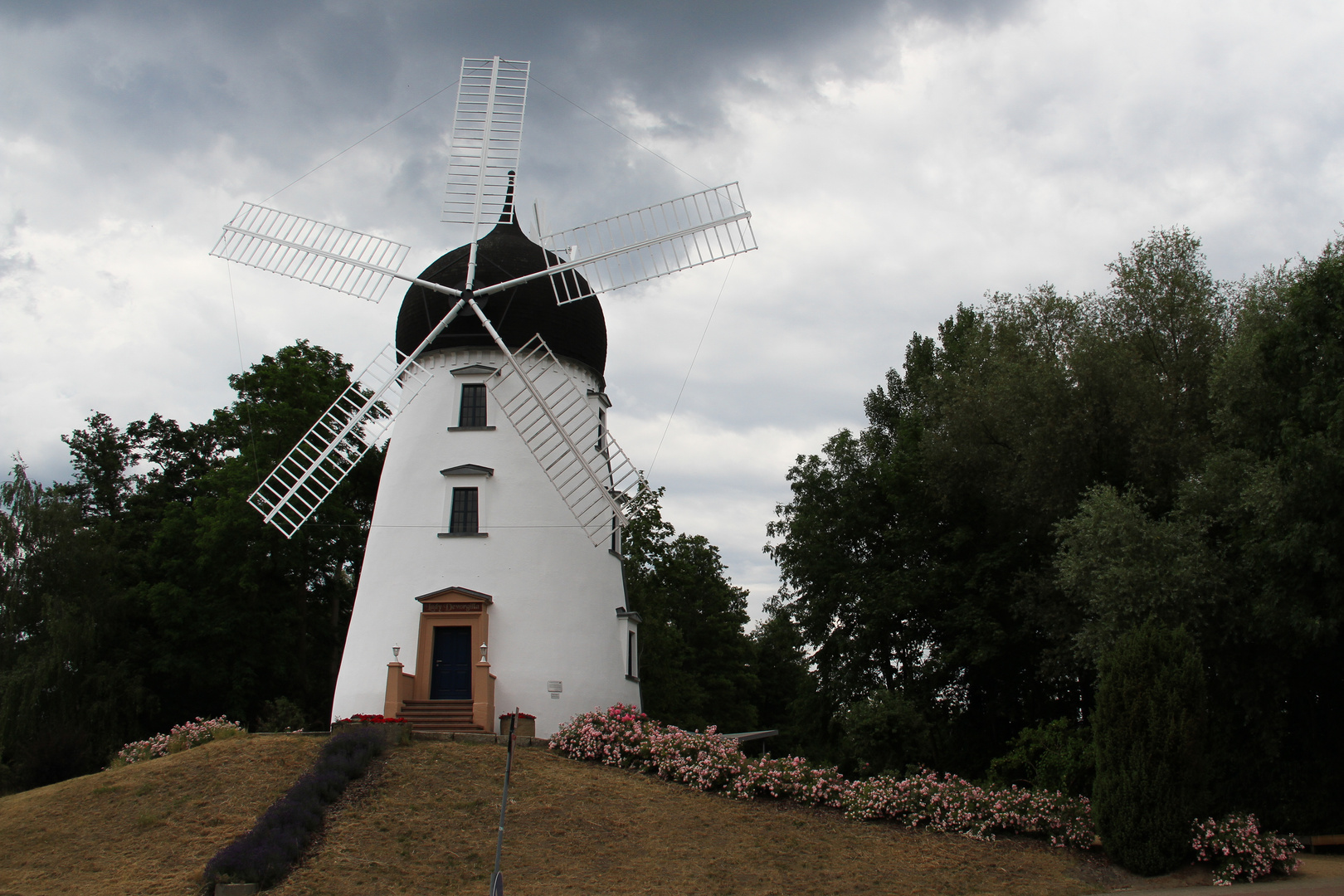 Weisse Mühle Lady Devorgilla