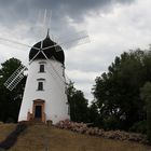 Weisse Mühle Lady Devorgilla