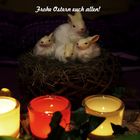 Weiße Ostern 2013!