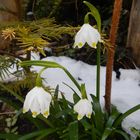 Weisse Ostern im Schwarzwald