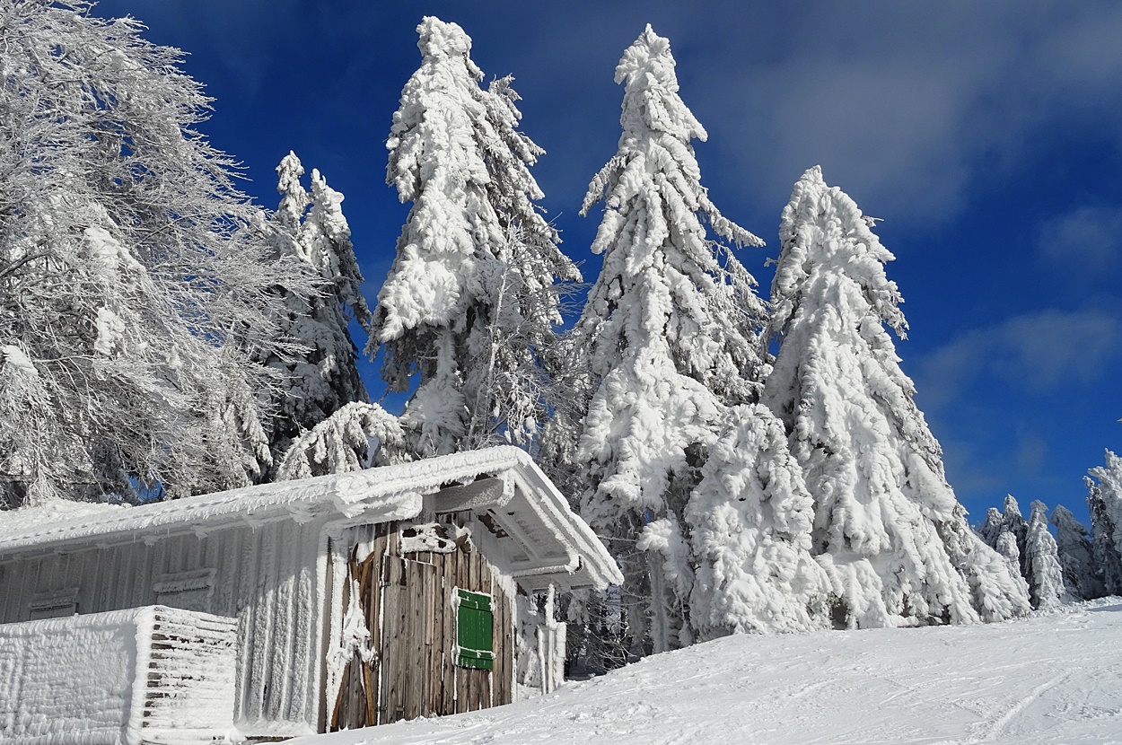 Weiße Pracht des Winters