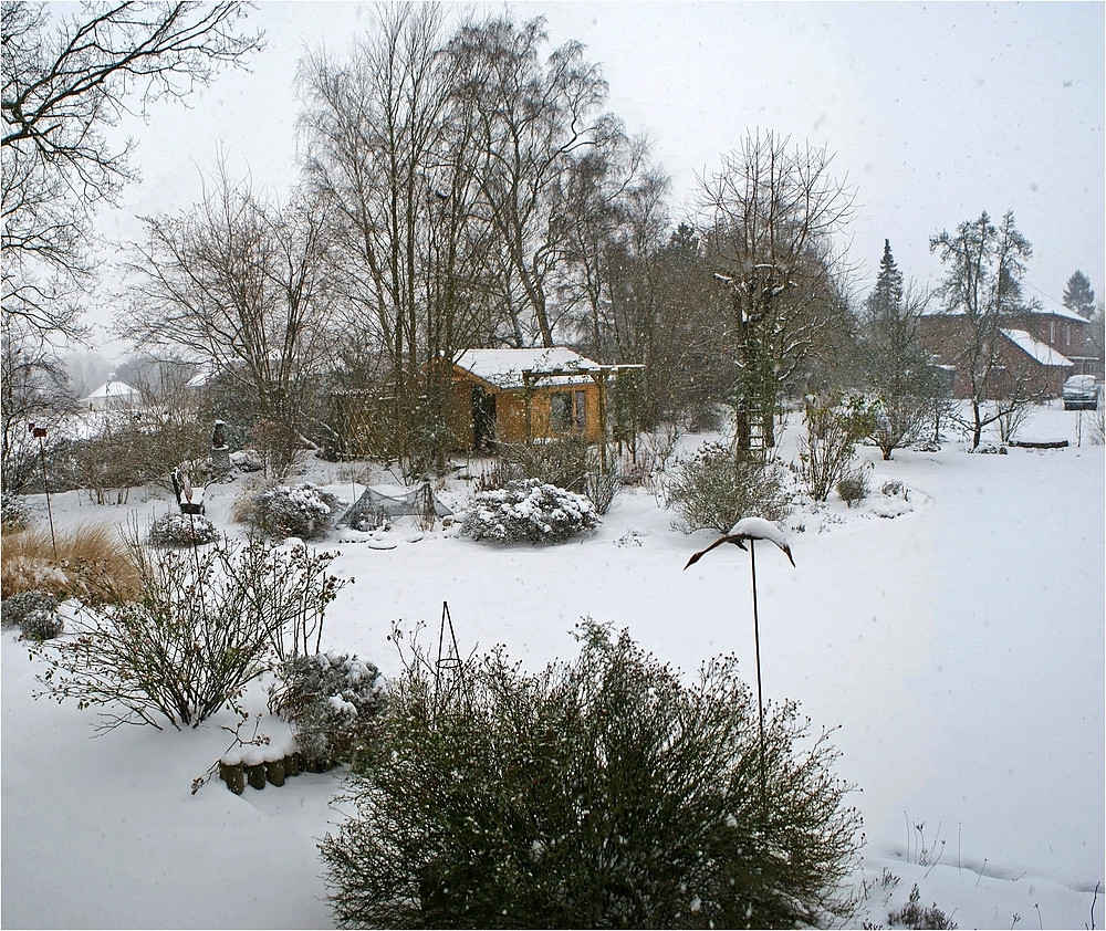 Weiße Pracht im Garten