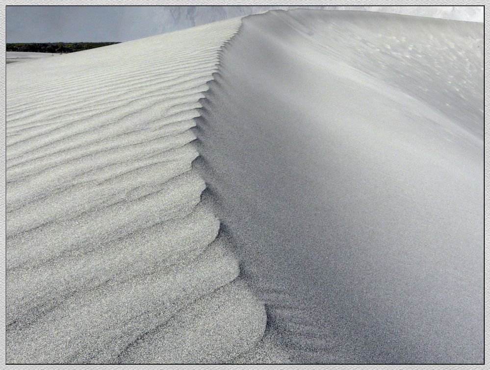 Weisse Sanddünen in der Wüste des Nubratals