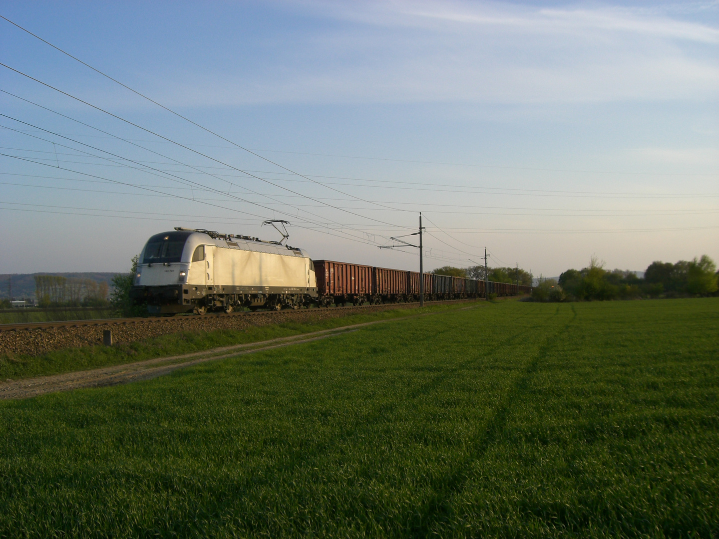 Weiße Schönheit am Umleiter