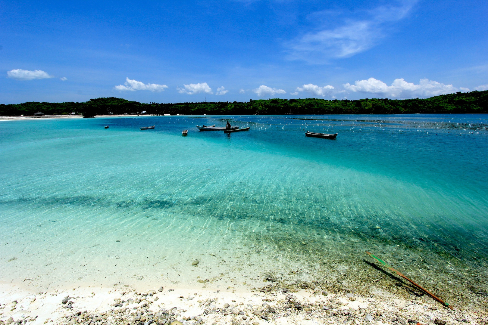 Weisse Straende und Glass Klarem Wasser in Oesela - Insel Rote - Indonesien