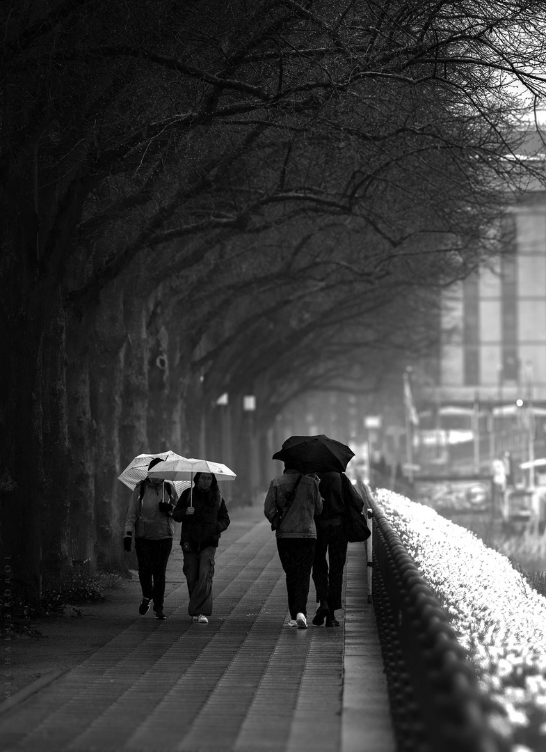 Weiße und schwarze Regenschirme