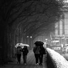 Weiße und schwarze Regenschirme