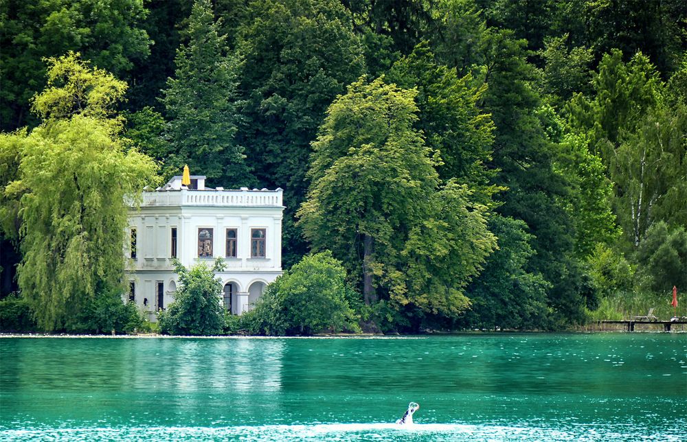 Weiße Villa - Wörthersee