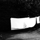 Weiße Wäsche