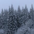 Weiße Wand im Fichtelgebirge 