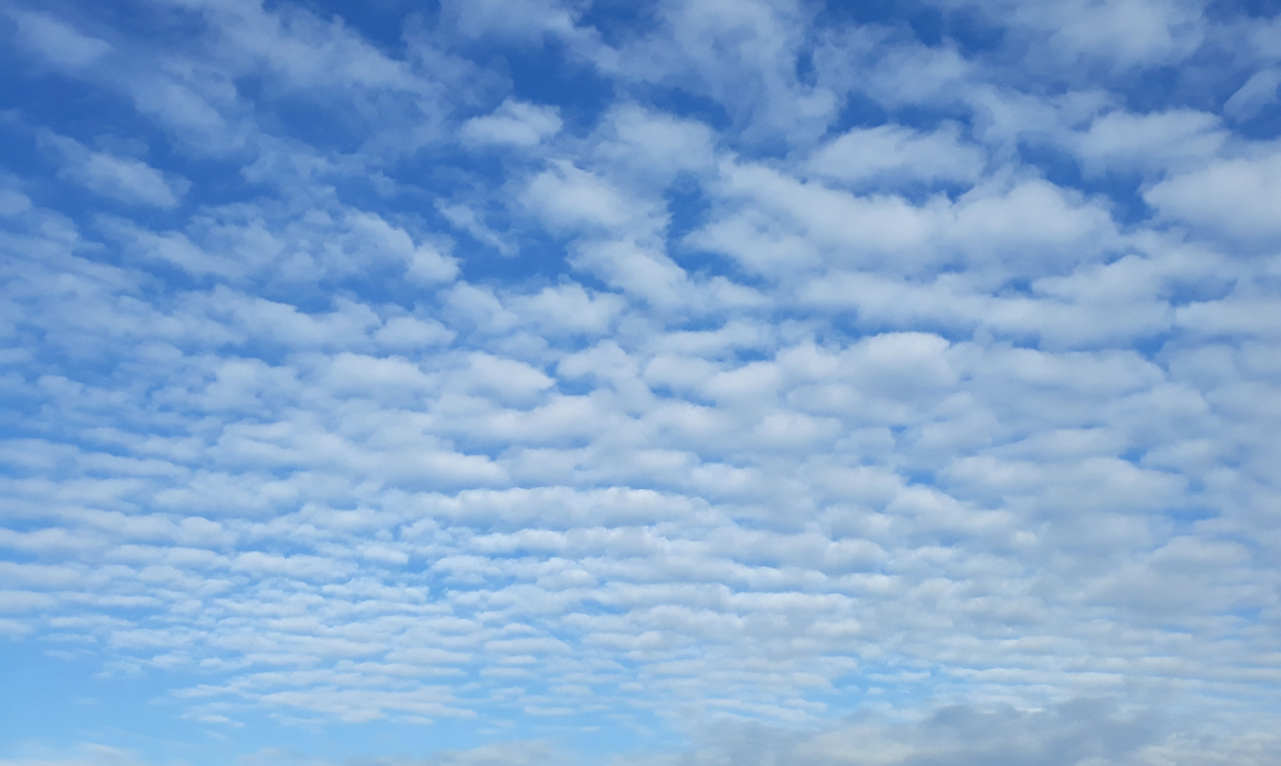 Weiße Wattewolken