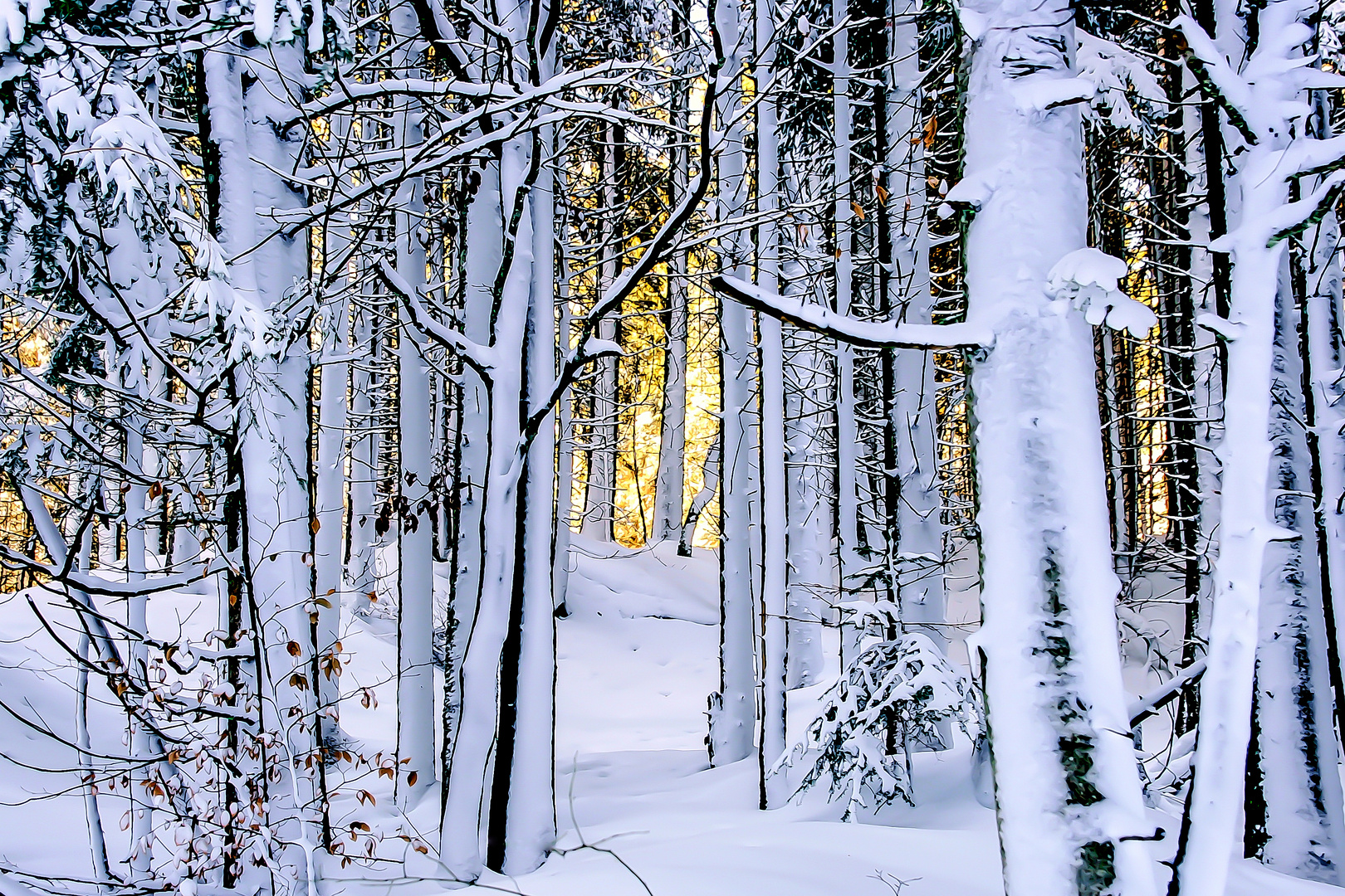Weiße Weihnacht Foto & Bild  deutschland, europe, bayern Bilder auf 