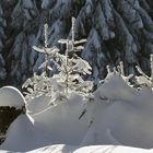 Weiße Weihnacht - na klar!