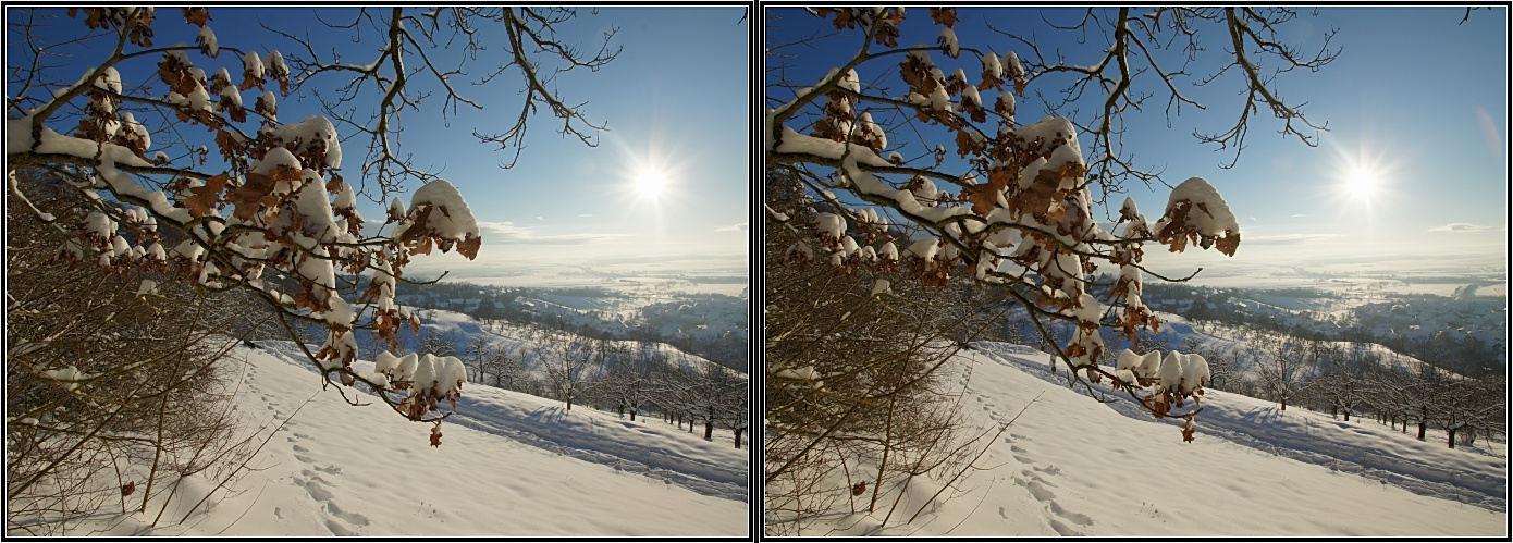 weiße Weihnachten 2010