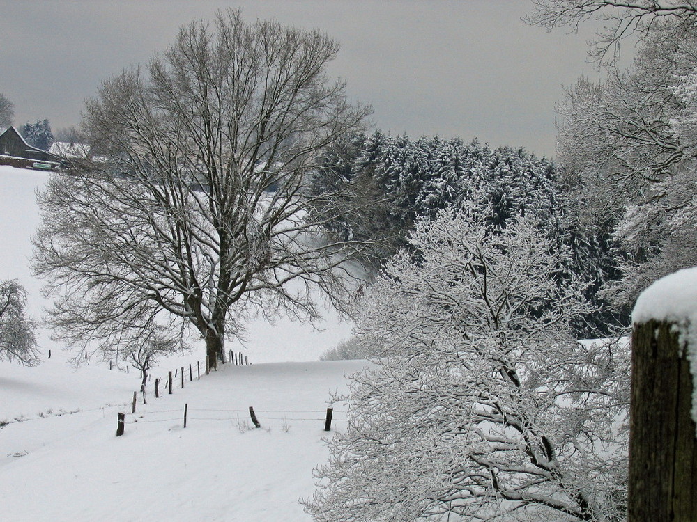 Weiße Weihnachten...