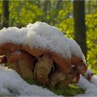 weisse Weihnachten