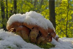 weisse Weihnachten