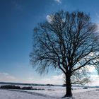 Weiße Weihnachten ein Traum