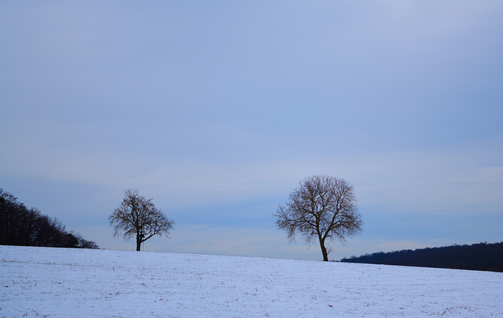 Weiße Welt! White world! El mundo blanco!