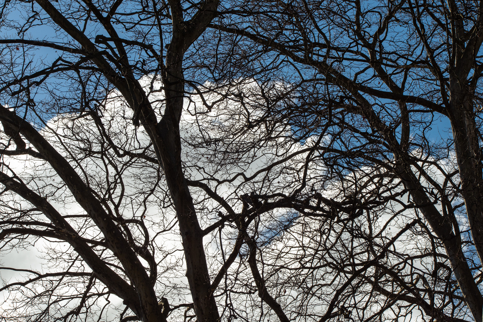 weisse Wolke