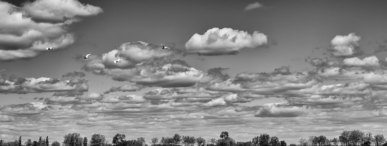 weiße Wolken