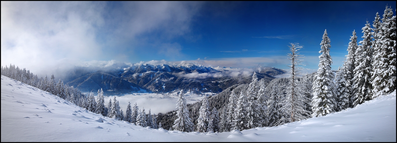 ~ WEISSEAUSSICHTI ~