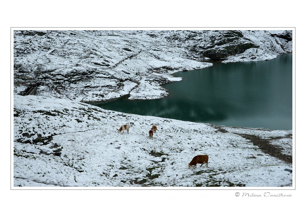 Weissee den Sommer - Österreich