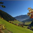 Weißenbachtal im Herbst (Tal auswärts)