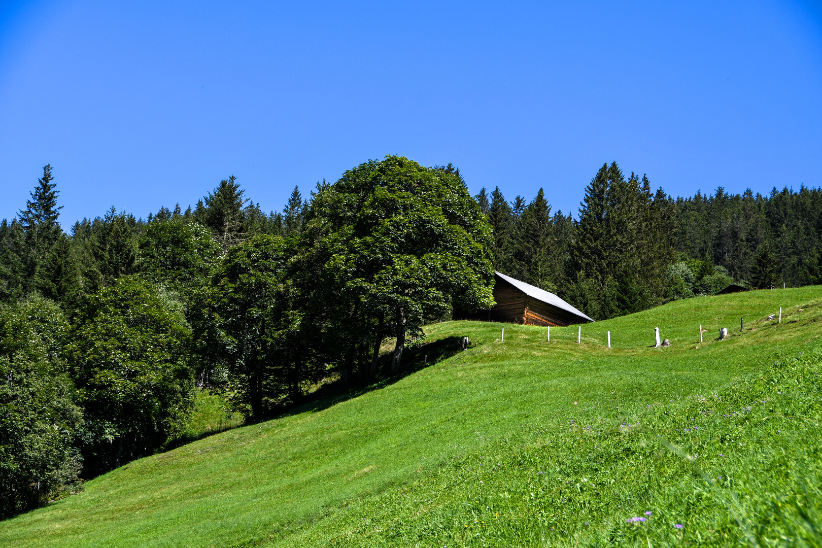 Weissenberge