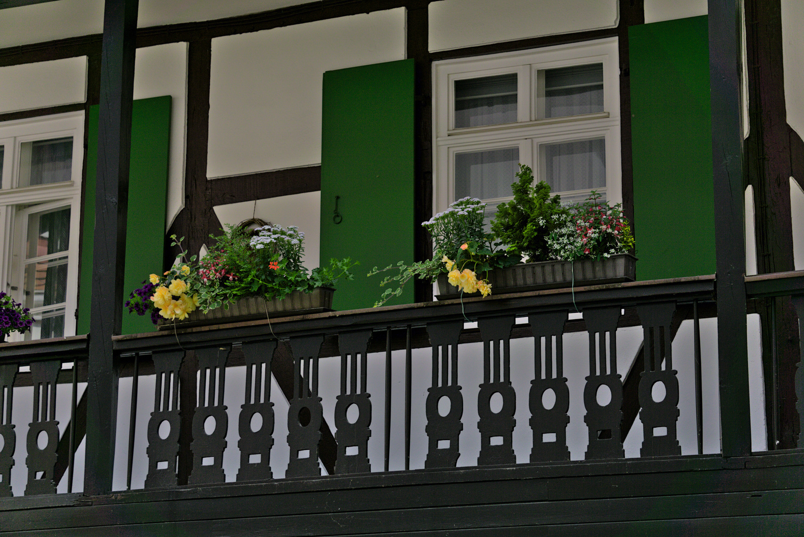 Weißenburg 29 - Blumen am Balkon