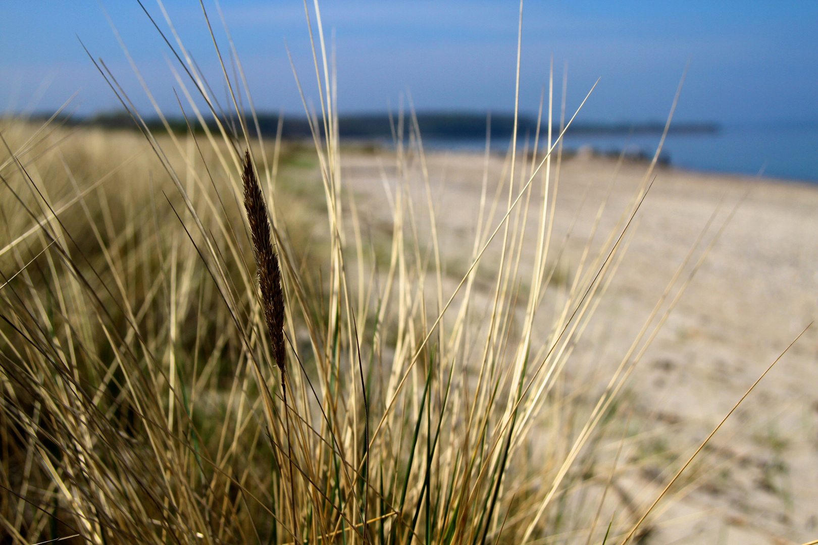 Weissenhäuser Strand