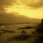 Weissenhaus sepia