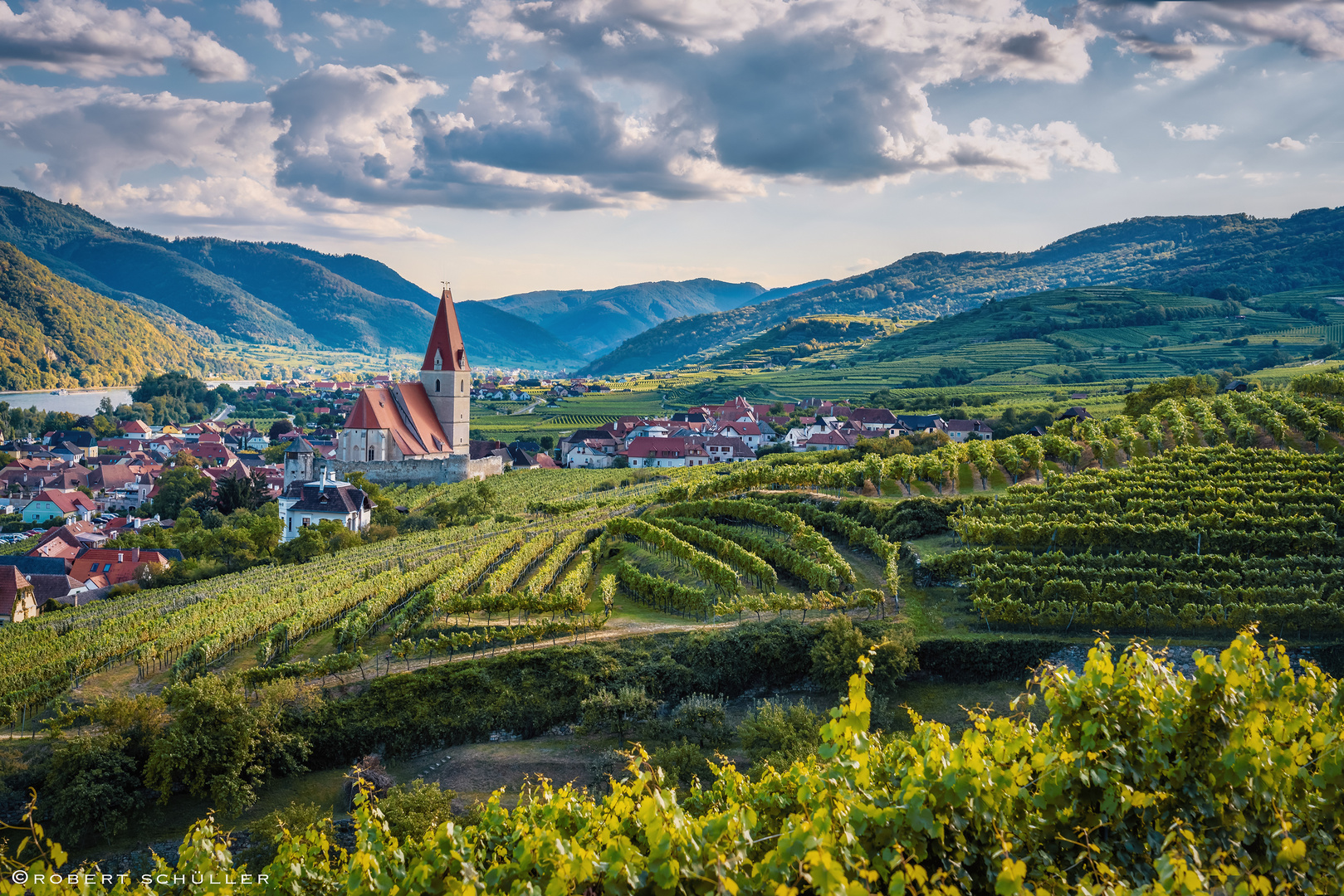 Weißenkirchen und die Riesling Rebe