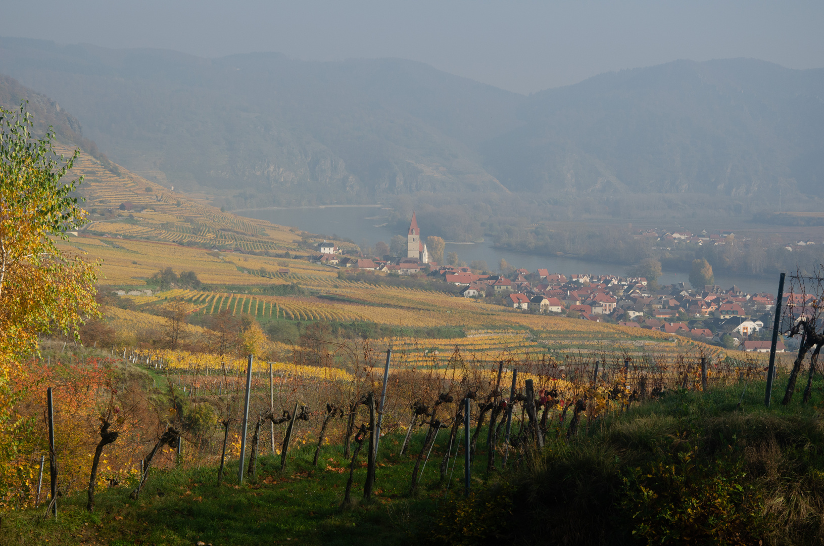 Weissenkirchen/Wachau im Herbstdunst